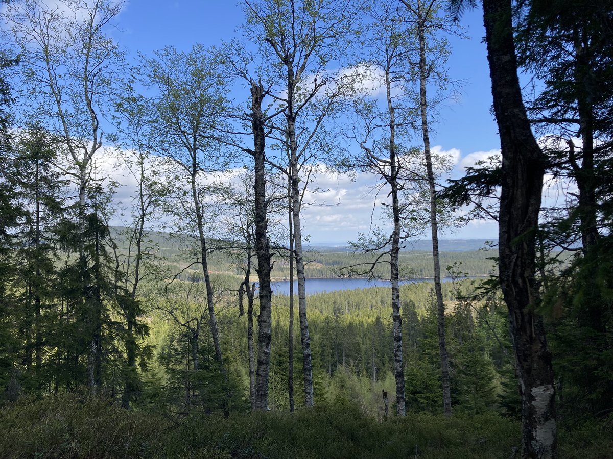 Guri Malla tweet media