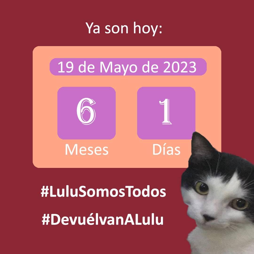 Gracilaria235's tweet photo. #19May 🫵🏻📞04120337999 Whatsapp #LuluSomosTodos #DevuélvanALulu #LuluEsDeTodos #Seguimos @TarekWiliamSaab @SomosNevado @FNevadoCarabobo.
#IsolinaDePinto y #MascotasEstelares DÓNDE ESTÁ #Lulu? Por qué no colaboran con su búsqueda? Por q tanta indiferencia Luli? https://t.co/5woPOLKeod