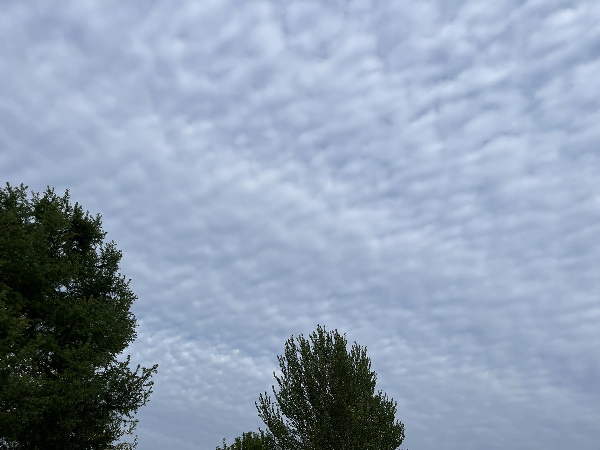 WindyWilson88's tweet photo. Mackerel Sky . . .
#Cirrocumulus #Altocumulus #CloudPorn https://t.co/LfAAfLHltm
