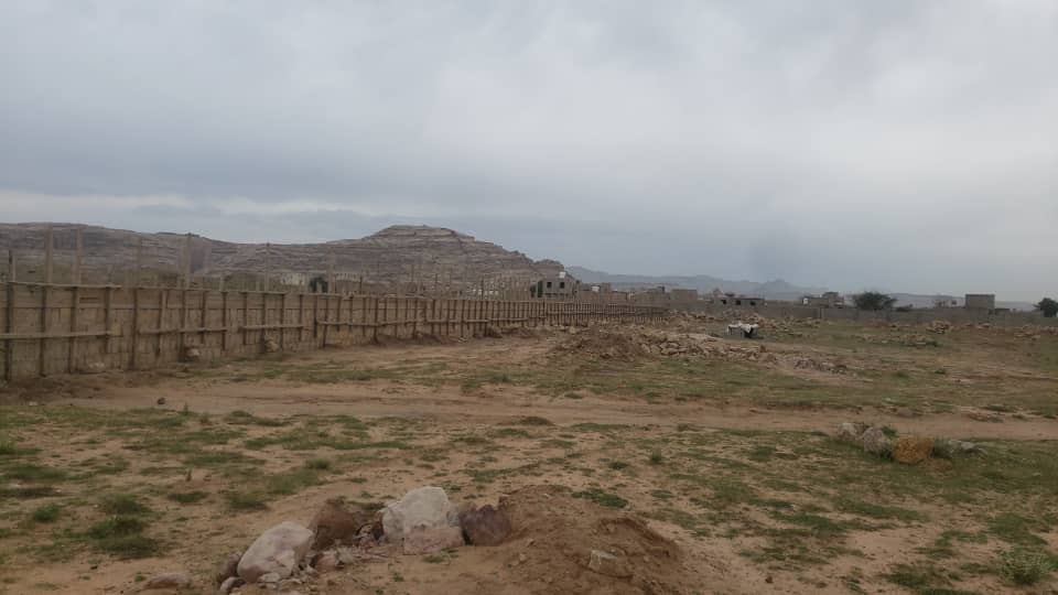الصورة