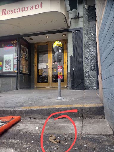 PoopScoopSF's tweet photo. 💩 report from Chinatown, D3 https://t.co/kSMj95s83S https://t.co/D7tUO4BRQO