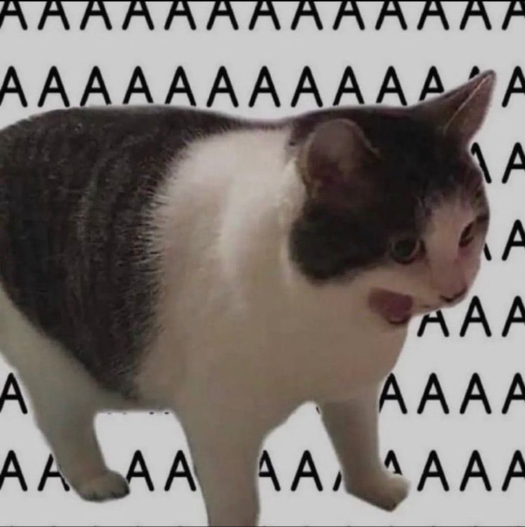 susp_cat's tweet photo. Ich gerade so, als ich DAS gesehen habe - von #Adidas
#Aaaaaaaaaaaaaaaaaa https://t.co/cEfo5CGiub
