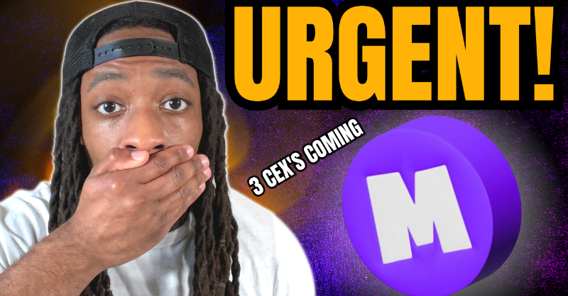 MikeThaInvestor's tweet image. Urgent video for the #MONGMOB

Let&apos;s discuss the message @crypto_bitlord7 has for the #MONGARMY

- Response to CEX competitions
- What&apos;s next for $MONG
- Where can you purchase #MONG

Video: youtu.be/oYanj0dcUrU