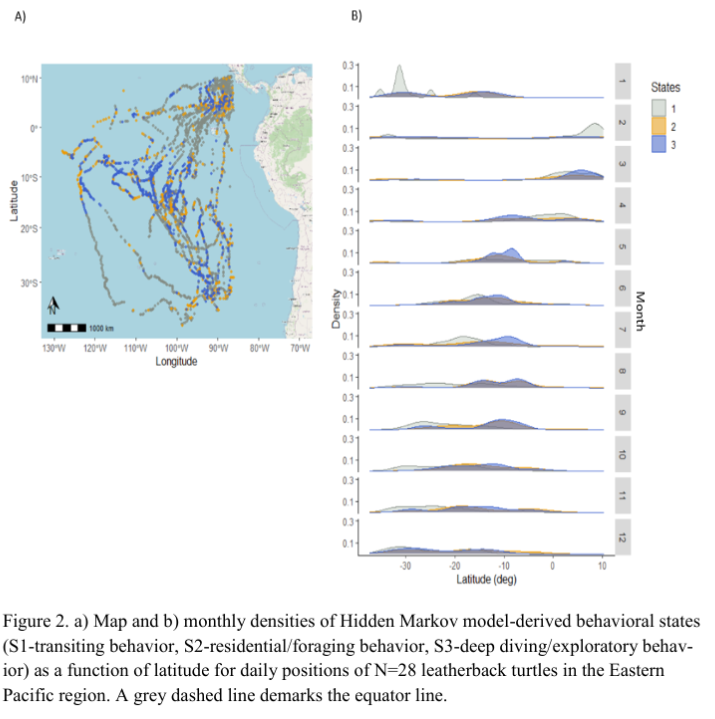Have you checked out Barbour et al's #recentlypublished paper about incorporating multidimensional behavior into a risk management tool for a #criticallyendangered and #migratoryspecies, the #leatherback #seaturtle? 🌊 Find it at doi.org/10.1111/cobi.1…

#conservation #science