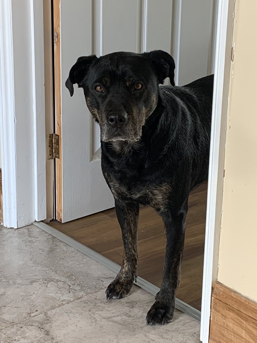 Alison Holmes 💙🧡🌱🌈 tweet media