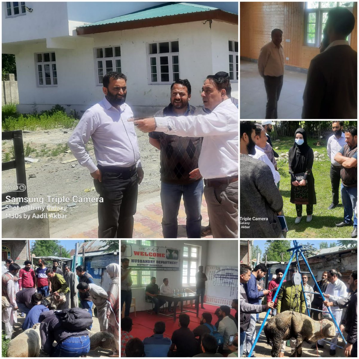 DshoBla's tweet photo. Worthy Joint Director (ext) Dr Basharath Ahmad today carried out an extensive field tour of district Baramulla .Addressed #FPO #HADP workshop at Hadipora .Inspection of #MultiFacilityCente chjihama #officeInspection at #kitchma #Boniyar #Uri &amp; Exam of Rams proposed for #culling https://t.co/5gf1qfrVkg