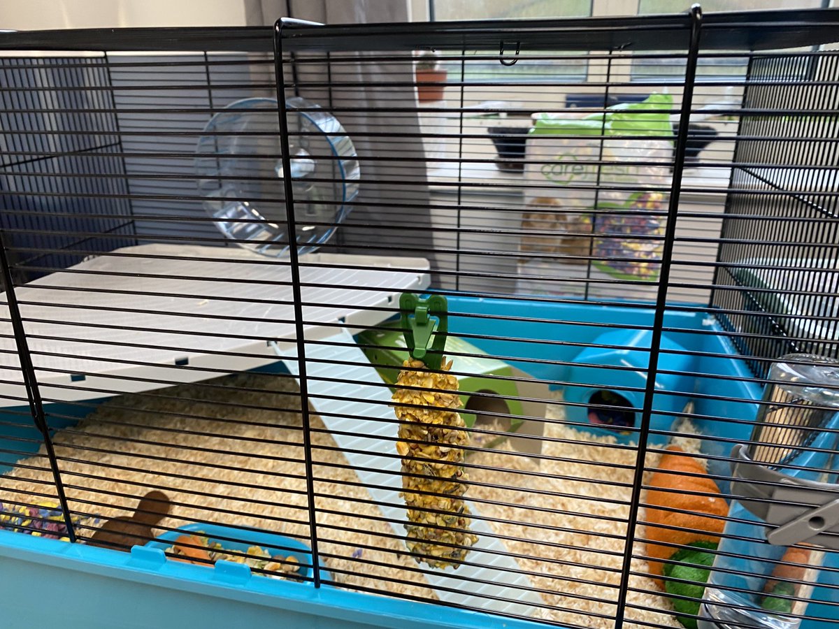 Landguard Road Approved Premises tweet media