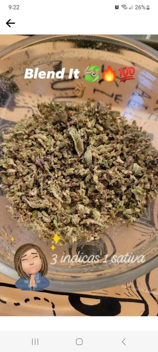 PoetryAnneLyrix's tweet photo. Big blunts💨💨 body massages &amp; 5 star meals... today's a good day for it all! https://t.co/wGNtBpusSU