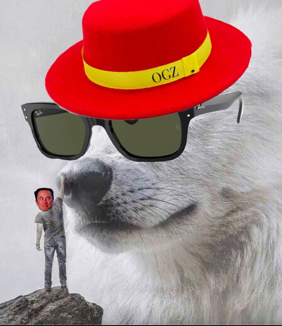 theogzclub's tweet photo. Dear $OGZ community.
Big announcement coming out soon 🐺 

Be sure to follow our official channels and join our telegram group 👇

https://t.co/4hvM8J5b4T https://t.co/eam3o7l5JQ