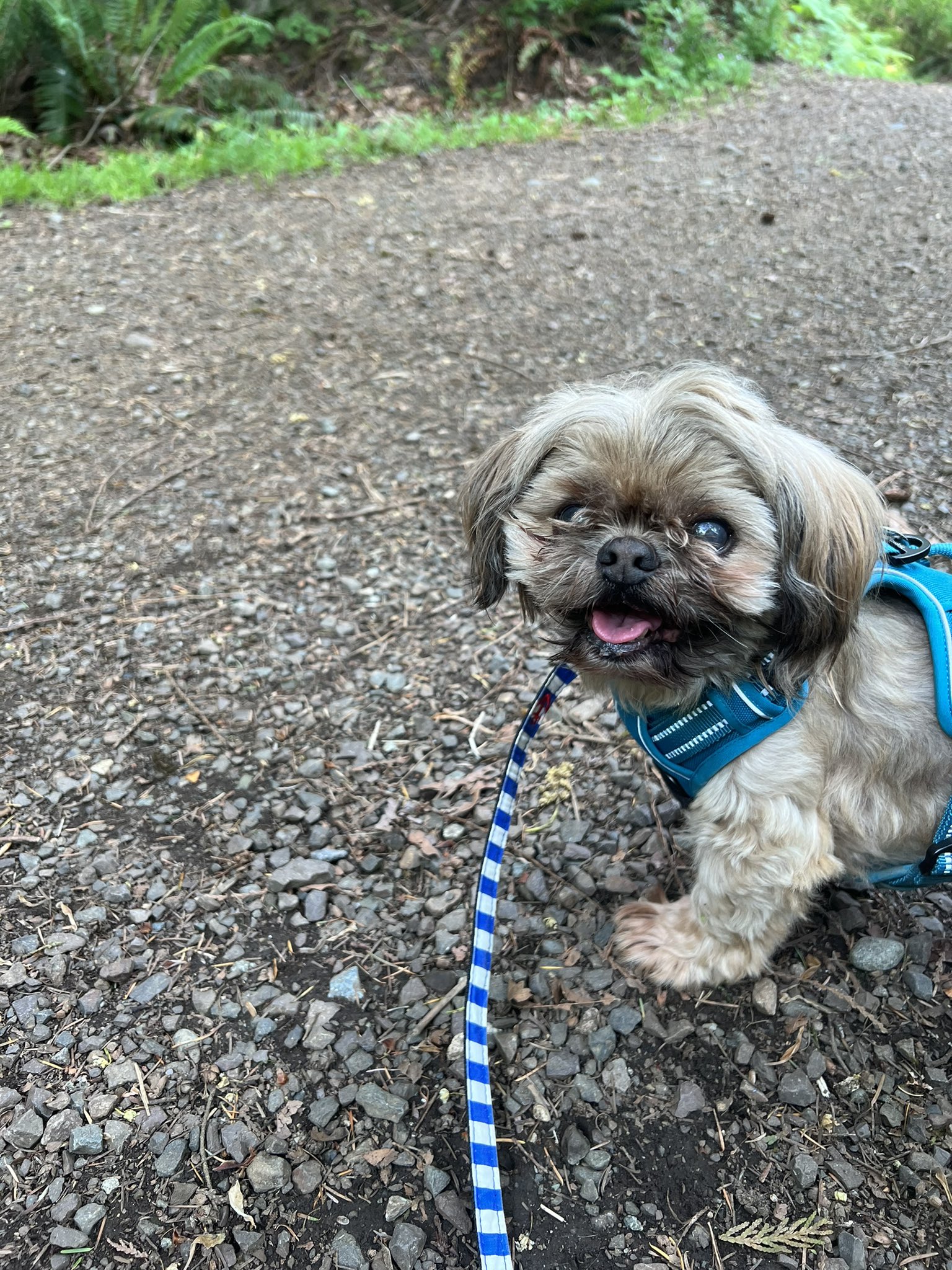  Mac and I wish you a happy birthday! 