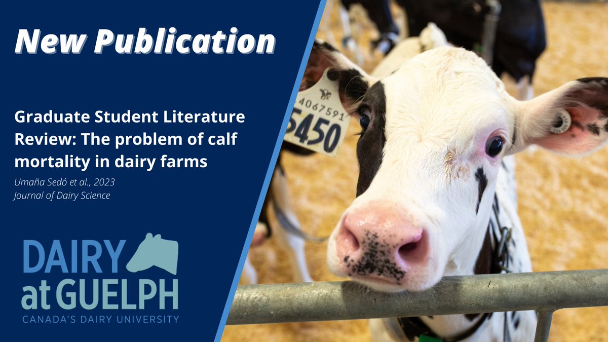 Dairy at Guelph (@dairyatguelph) on Twitter photo A new review by DVSc student Sebastian Umaña Sedó, <a href="/cbwinder/">Charlotte Winder</a> and <a href="/DavRenaud/">Dave Renaud</a> describes risk factors associated with calf mortality and strategies to monitor and prevent mortality of dairy calves.
Read here ➡️ bit.ly/UmanaSedoJDS A new review by DVSc student Sebastian Umaña Sedó, <a href="/cbwinder/">Charlotte Winder</a> and <a href="/DavRenaud/">Dave Renaud</a> describes risk factors associated with calf mortality and strategies to monitor and prevent mortality of dairy calves.
Read here ➡️ bit.ly/UmanaSedoJDS