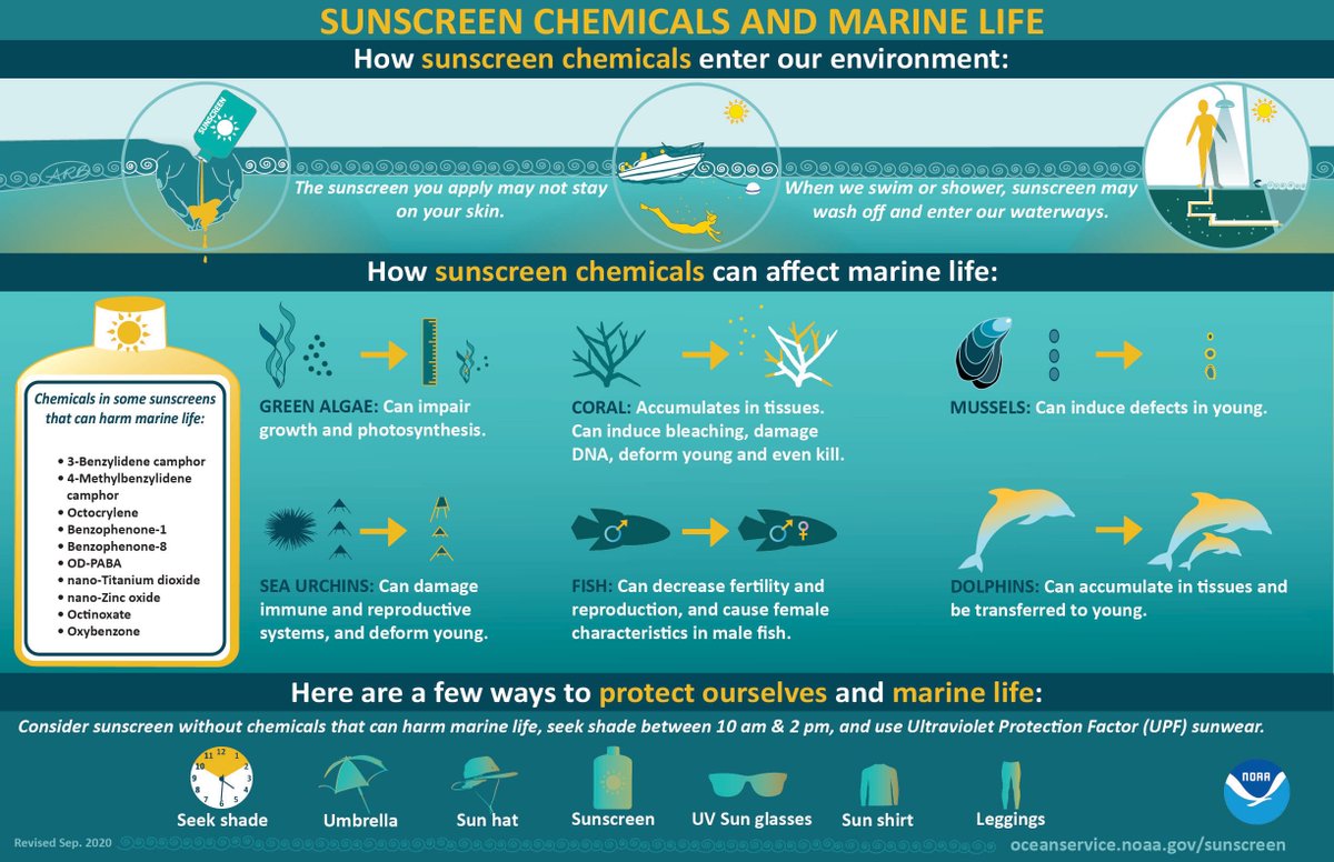 Visiting a #CoralReef does not mean you have to sacrifice #SunSafety 🌞
Find sunscreens that avoid chemicals potentially harmful to marine life and check out these other ways to protect yourself from too much UV.
#DontFryDay
oceanservice.noaa.gov/news/sunscreen…