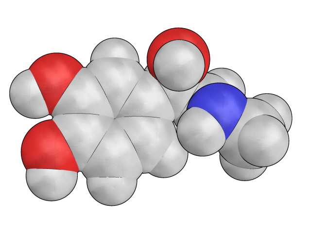 molecular_bot's tweet photo. adrenaline
https://t.co/gtpOXYz7M4 https://t.co/VRz3sZY2ud