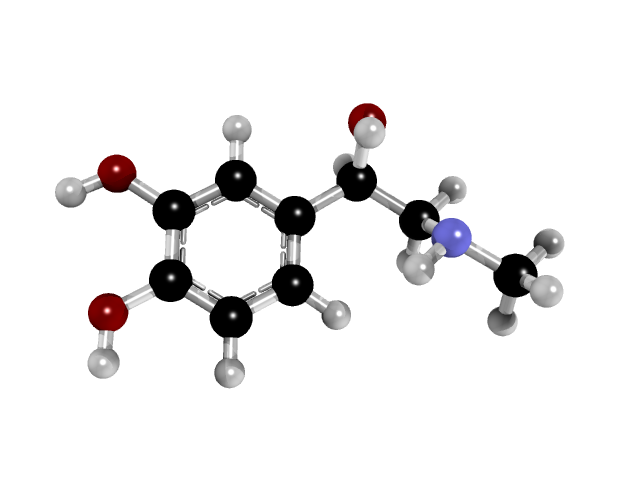 molecular_bot's tweet photo. adrenaline
https://t.co/gtpOXYz7M4 https://t.co/VRz3sZY2ud