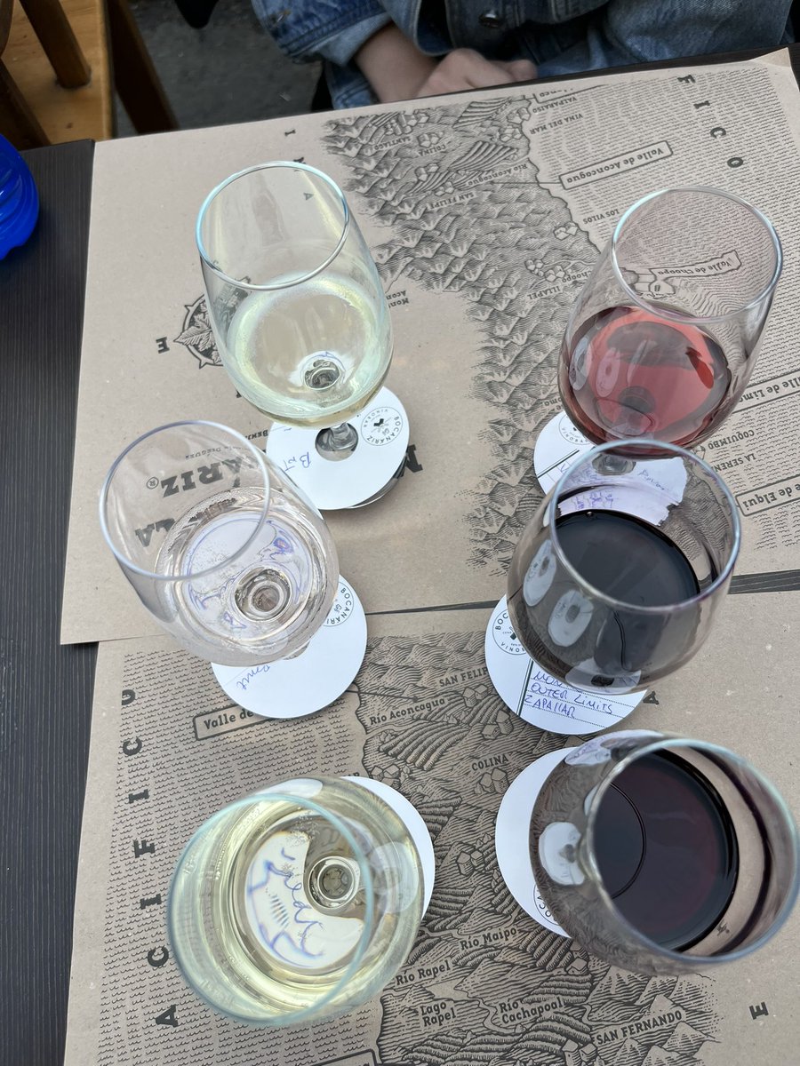 Two flights 💯 Chilean. The first all bubbly in the traditional style with a few twists including Sauvignon blanc and Pais (mission). The second, Pinot, Syrah, and a cab franc blend #chileanwine #wine #southamerica