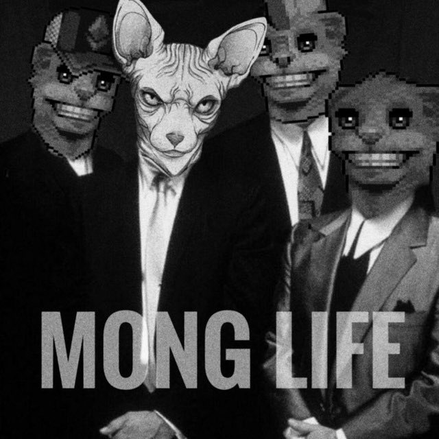 #MONG #MongArmy #MongCoin #MongLife 🔥🔥🔥🔥