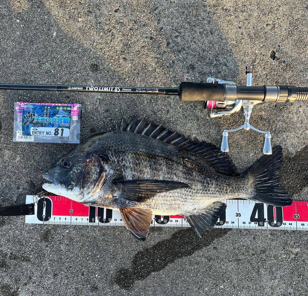 HRF50676091's tweet photo. 🐟🐟🐟🐟
#ikusa_chinu
#44cm
#サイコロラバー
@o.s.p_saltwater https://t.co/1FrYs64Izm https://t.co/ArS3uafngW