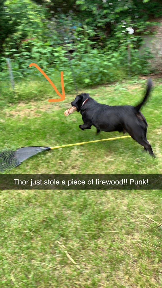 kat_groe's tweet photo. @bunsenbernerbmd The caption really says it all. #MightyThor https://t.co/npuNB8Lylo