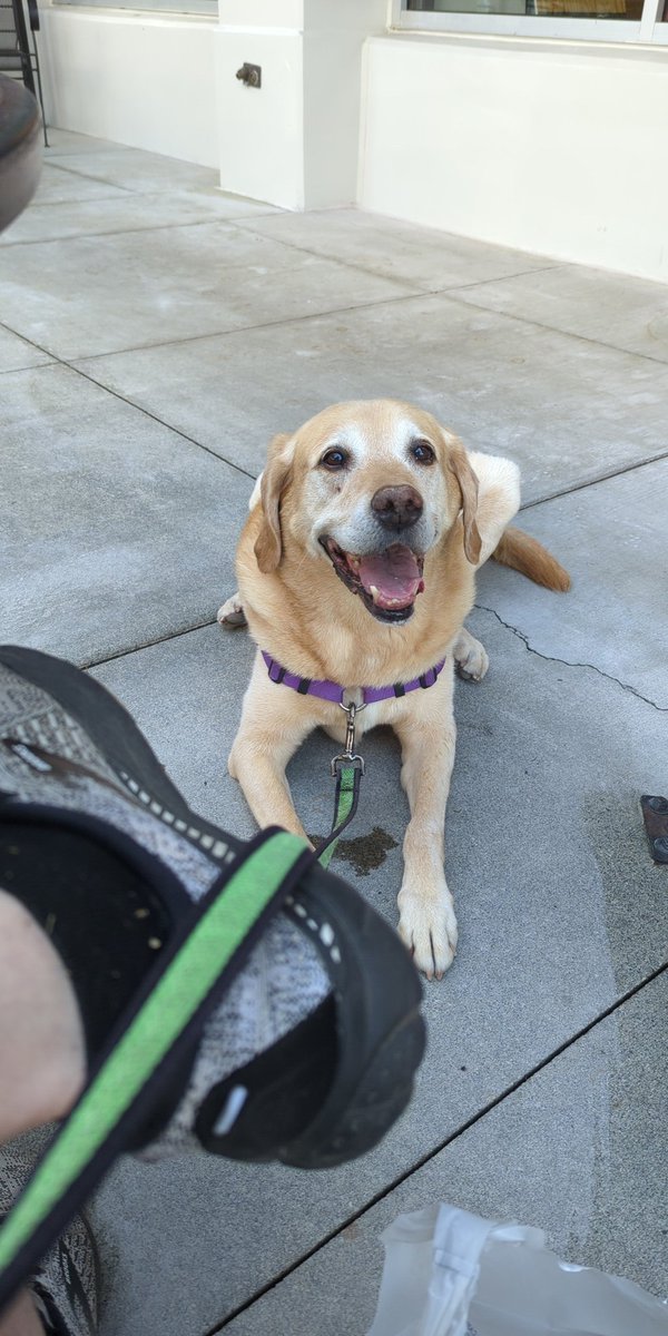 Duncan Mackenzie tweet media