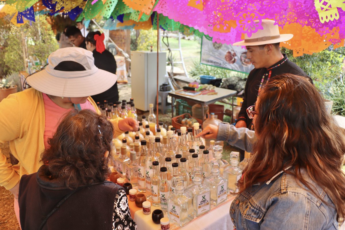 MultiSurMx's tweet photo. Donde encontrarás artesanías y productos de la región, espectáculos culturales, además de degustaciones de mezcal, pulque y tequila. https://t.co/JckbR89aMP