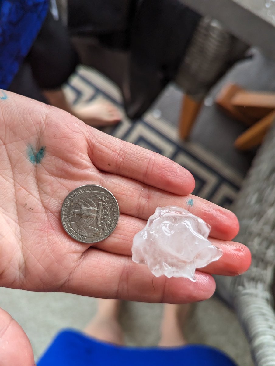 Syndy Lynch tweet media