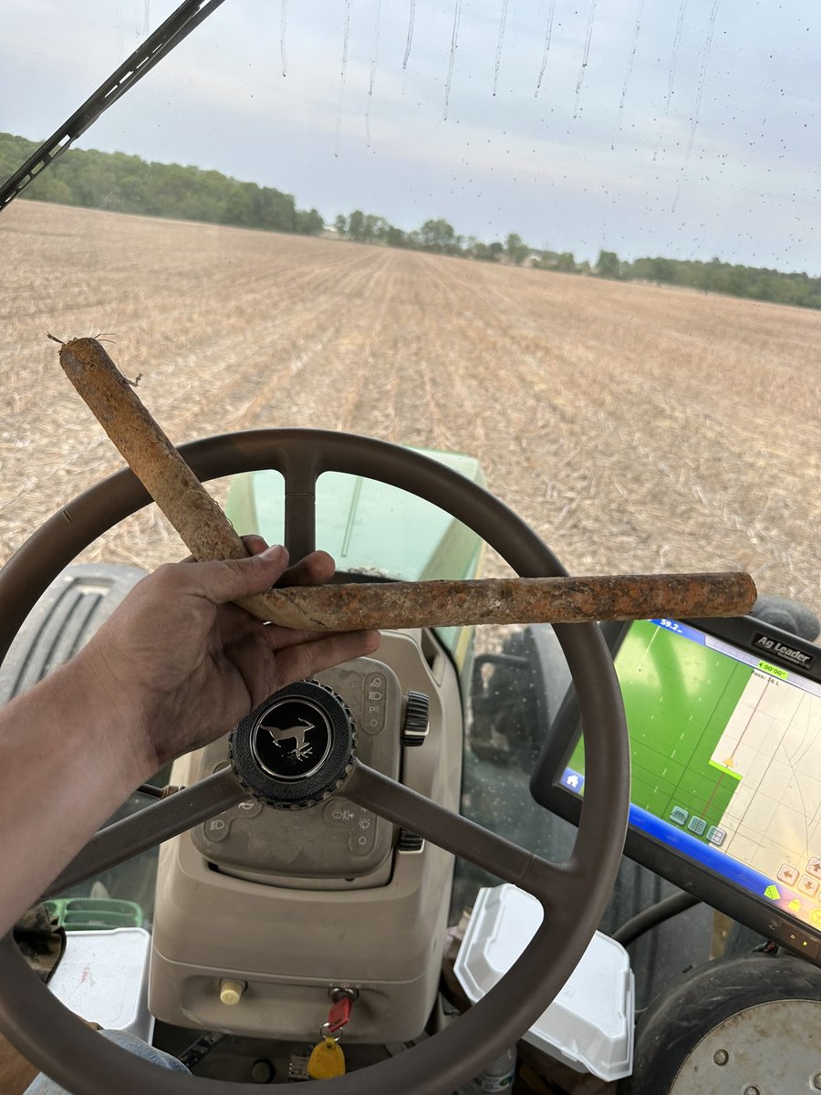 Sof70Farmer's tweet photo. #FieldFinds https://t.co/p9H9aaZ3at