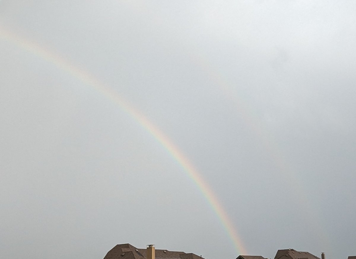 Syndy Lynch tweet media