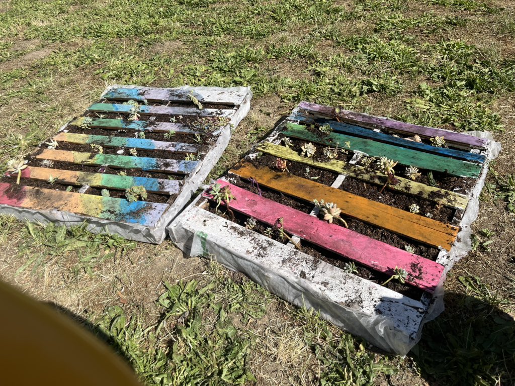 Woodside_Cares's tweet photo. Succulent wall coming soon! 🫶🏼 ft. Spider-Man https://t.co/EOvmhDkLCq