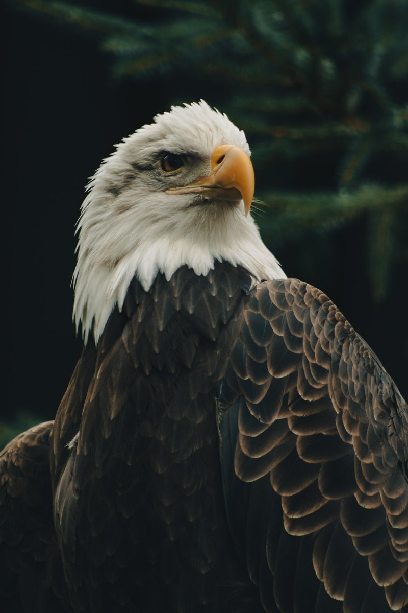 madi ✨ tweet media