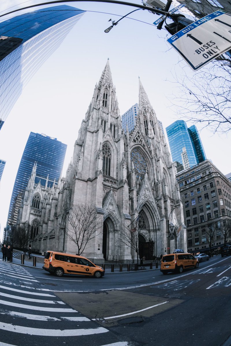 madi ✨ tweet media