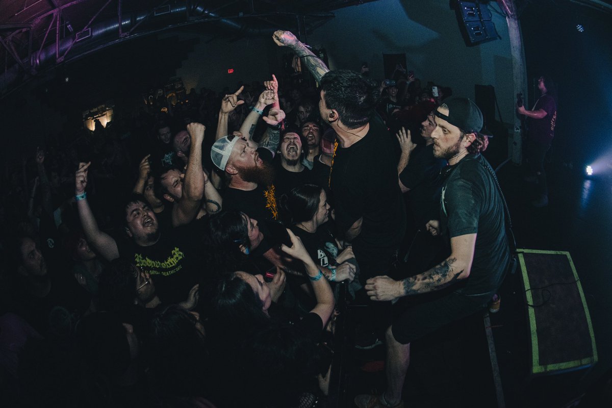 madi ✨ tweet media