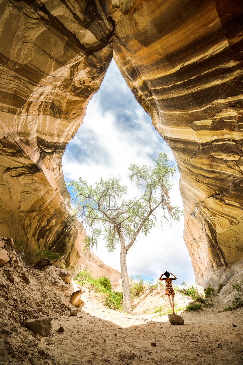 The tree of life

#arizona #traveldestinations #roamtheplanet