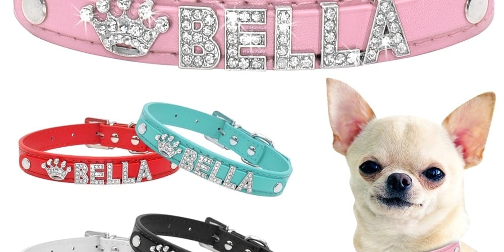 petsmaker tweet picture