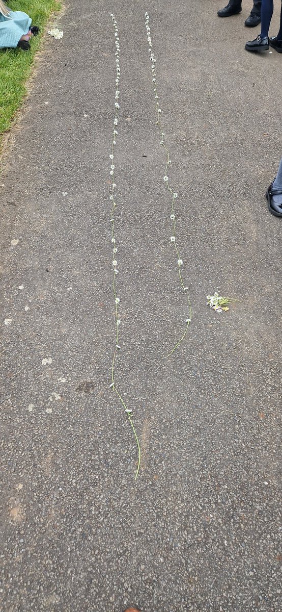 uptonclass2FP's tweet photo. How far did we get? https://t.co/fn7JydRoJN