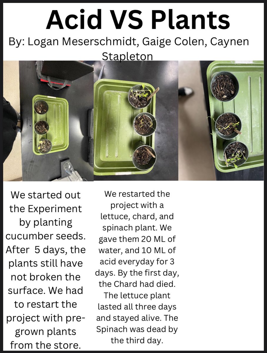 MrsSealsSci's tweet photo. Virtual Science Fair Projects 🦠🧬🧫🧪Part 1
#weRmilan https://t.co/Uf6H4qd80d