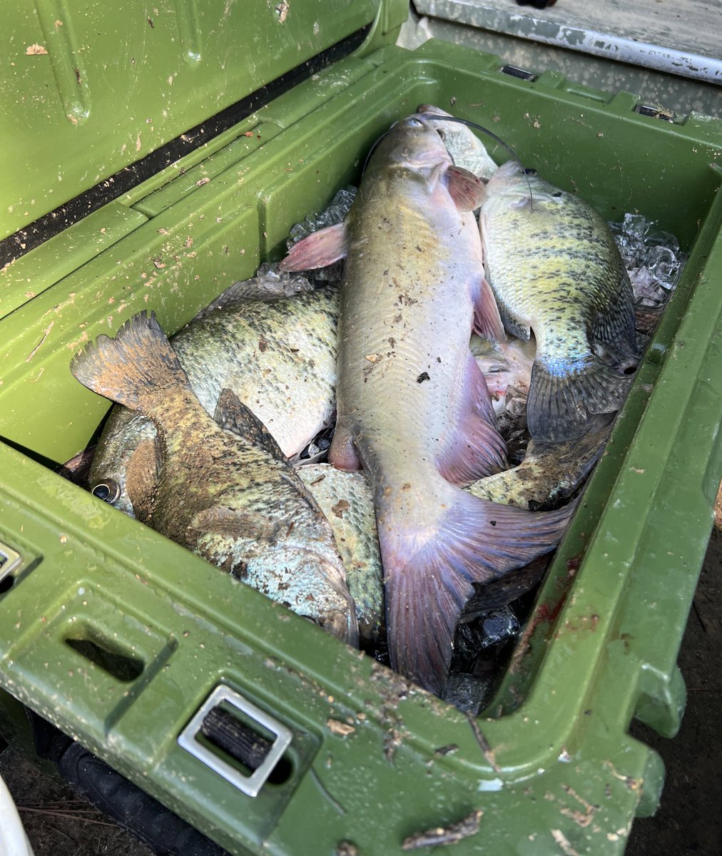 Filling up that cooler #fishing #realsouthhunting