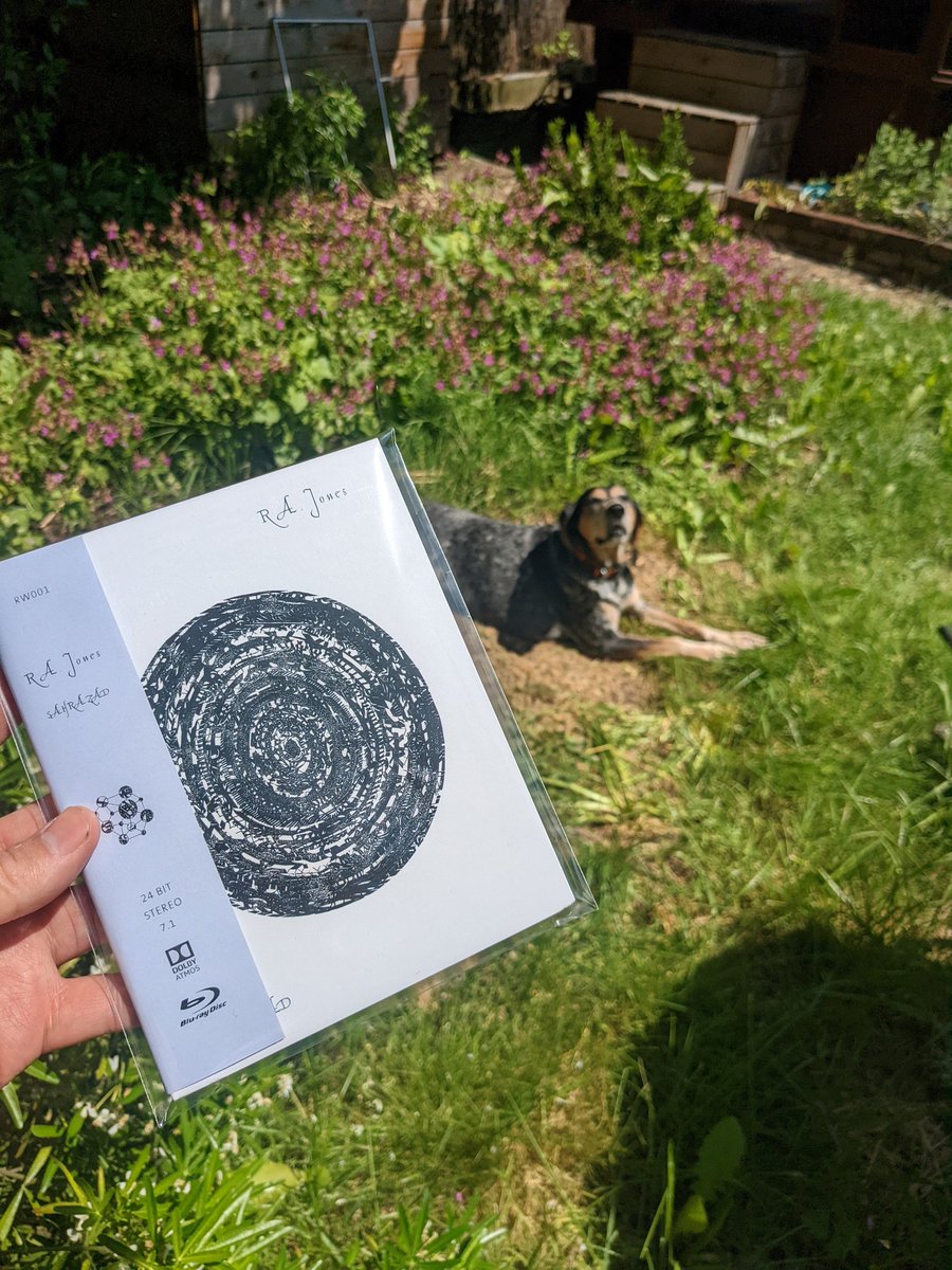 Random Walk tweet media