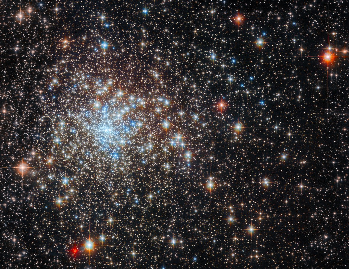 MarkLiederbach's tweet photo. Hubble Peers into a Glistening Star Cluster https://t.co/snfwFzjlsK https://t.co/CSAMRSYVdb