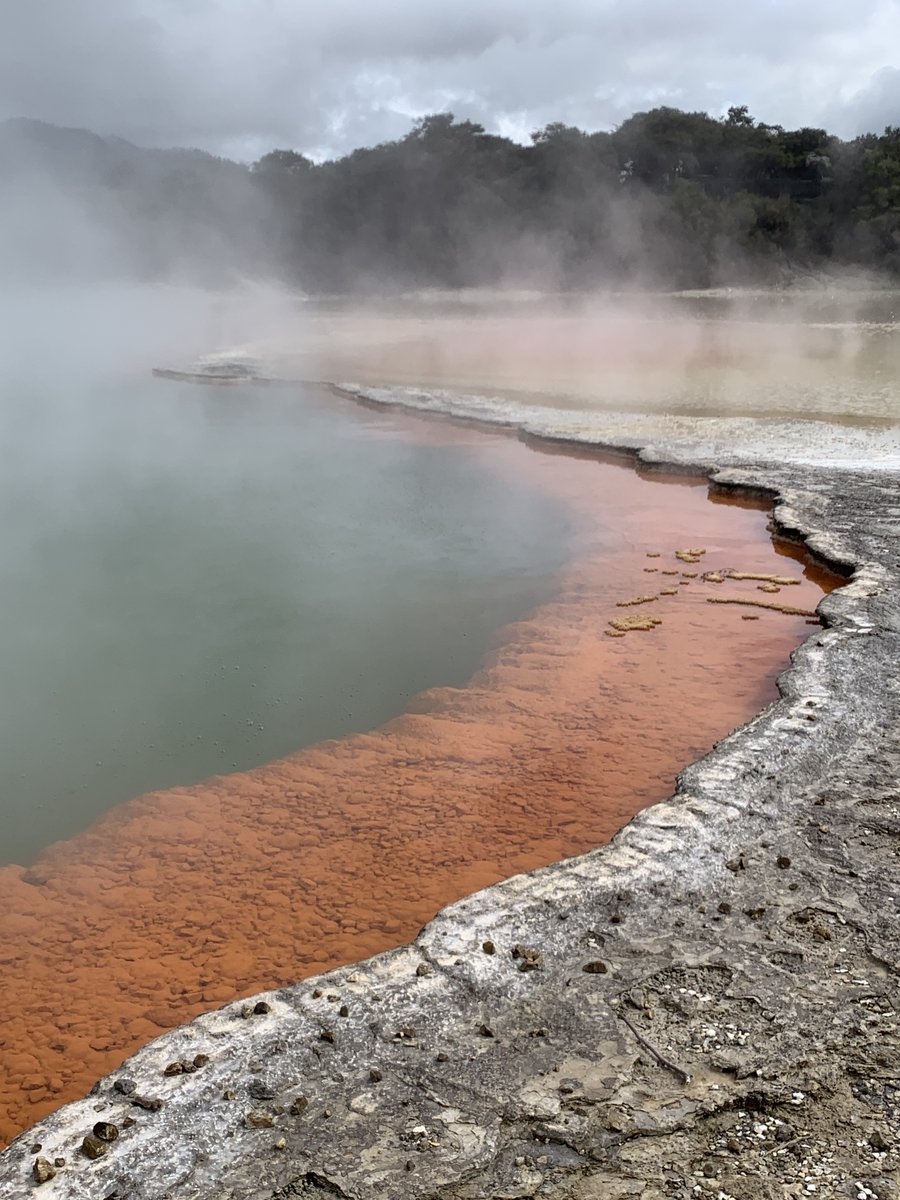 OlivierB_spc's tweet image. Balade dans le tableau Mendeleïev, sur le site géochimque de Wai O Tapu en Nouvelle Zélande : bassins minéraux, métaux, source chaudes acidifiées... Je ne résiste pas au plaisir de partager quelques autres photos de lieu unique.
#TeamChimie #Teampc #bidonsdelasalledeTPdechimie