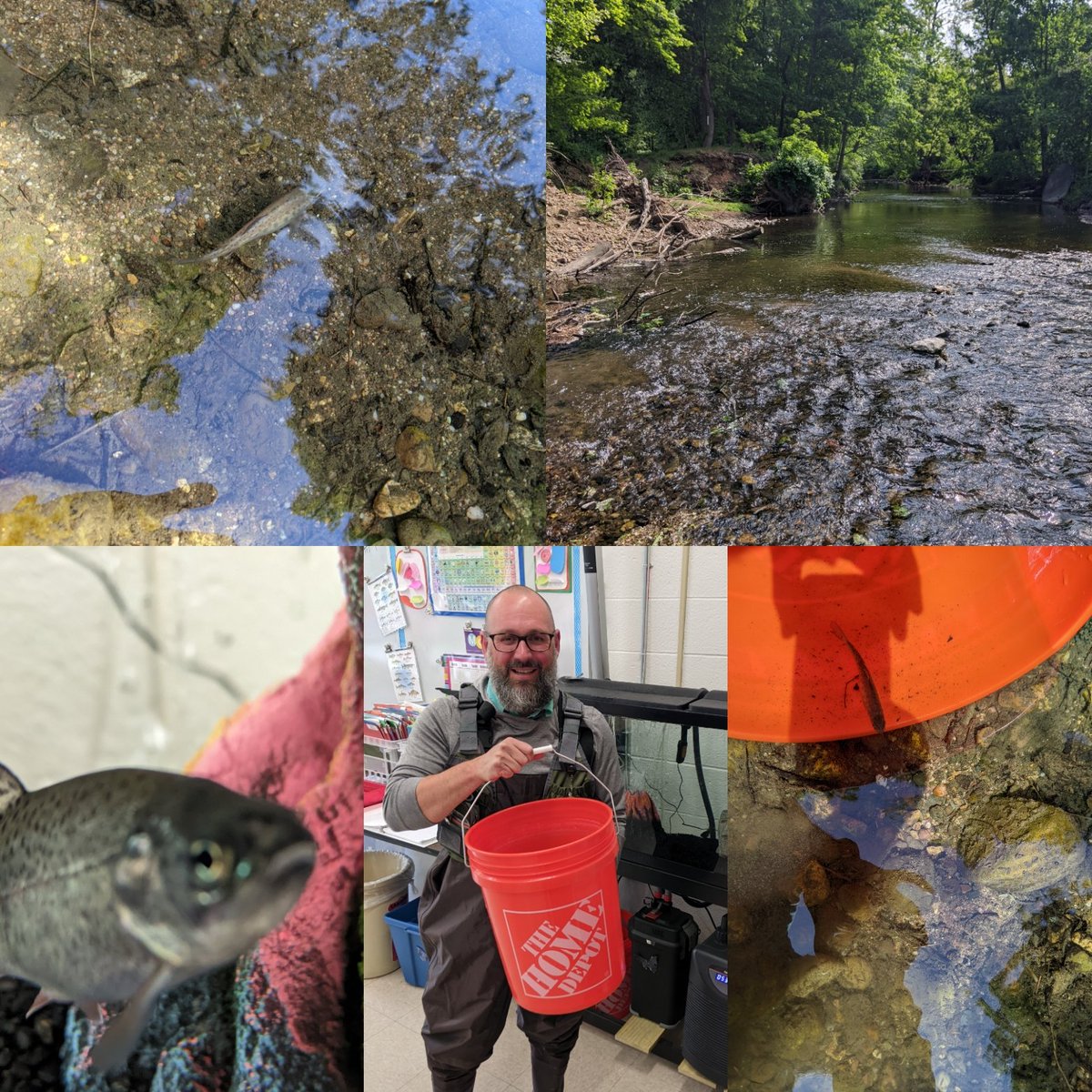 <a href="/WPSEisenhower/">Eisenhower Middle School</a> Rainbow Trout "Lil' Zippy" was released into the Saddle River today. It was the inaugural year for the Trout in the Classroom program and the grade 6 Human Impact exploratory course. Good luck Zippy!