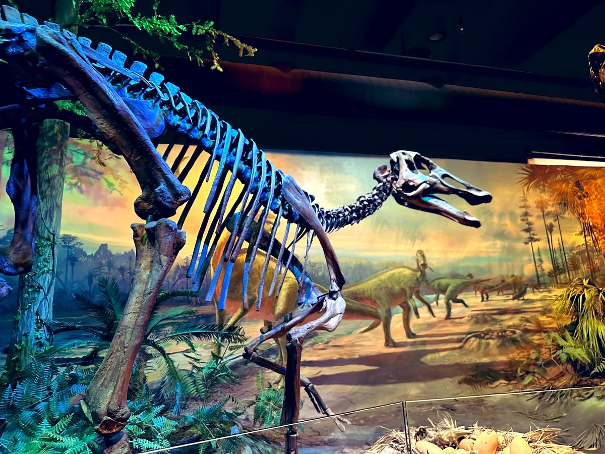 Mrs. Miller’s Class tweet media