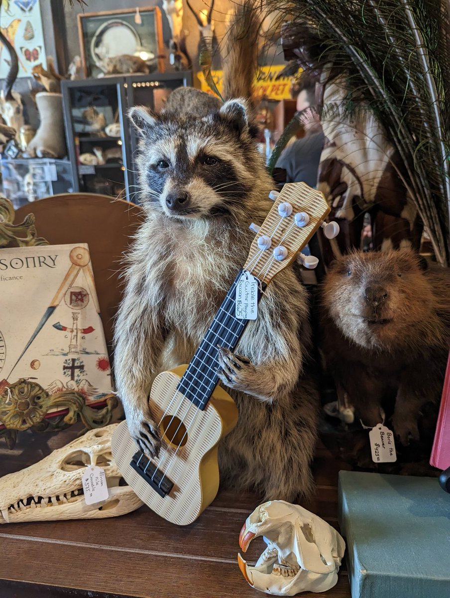 TrashiRainbow's tweet photo. 😭😭😭 I want him so bad https://t.co/8LiypykzJB
