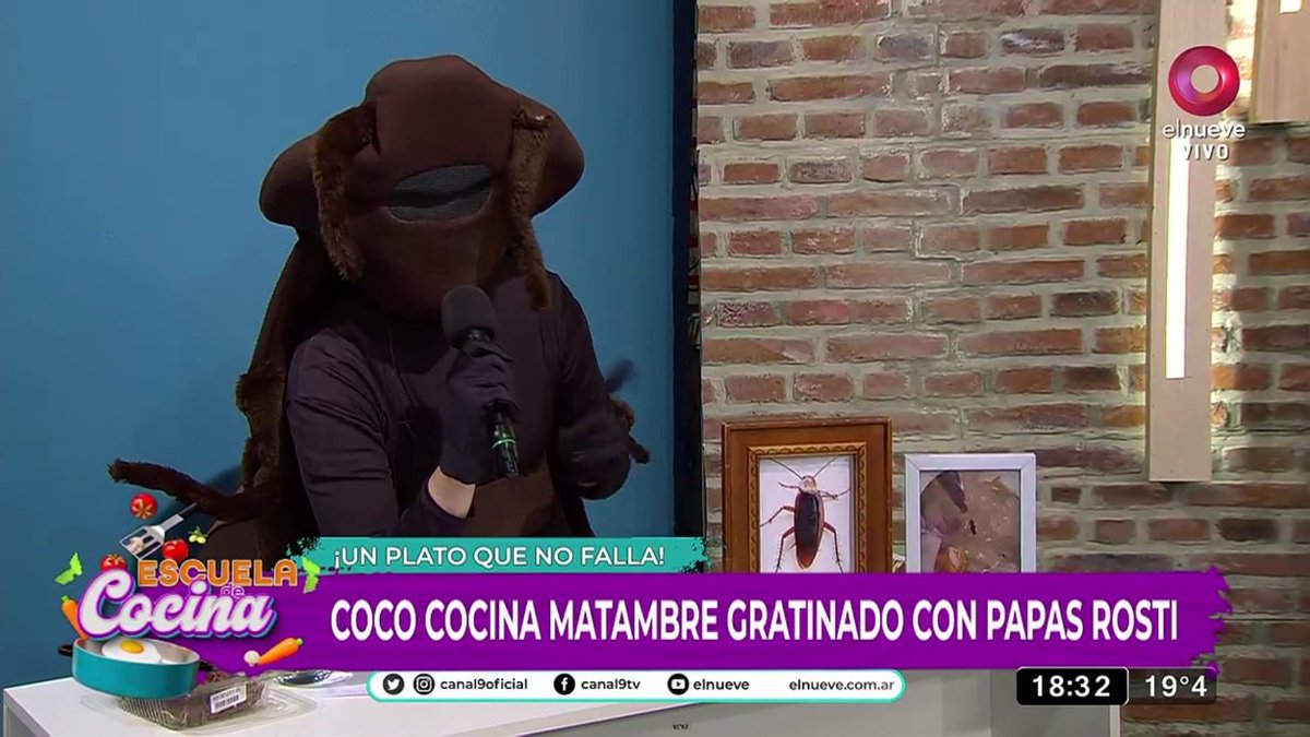 Enriquezomar94's tweet photo. #Rating #EscuelaDeCocina ayer jueves 18/05 obtuvo un promedió de 2.0 ( info vía @PoneleShow )
#CucaGate 😄
@jimenacocinaok @CorbettaMariana @ChefPacoAlmeida @cocococinero @canal9oficial https://t.co/eu6ulhUPBe