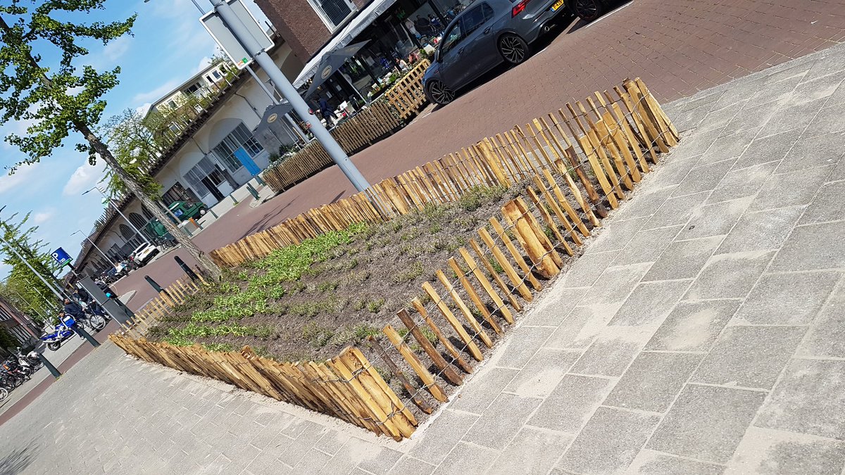 KarinPadmos's tweet photo. Bewoners gaan voor meer groen in de Insulindestraat en plein.
Na de aanleg gaan de bewoners er zelf zorg voor dragen.
#bewonersinitiatief #zelfbeheer #tegelseruit #groenerin #wijkraadbbl in #bergpolder dit keer.
Met hulp van @Stadsbeheer010 @rotterdam😎🤩 https://t.co/4wXm3UX02G