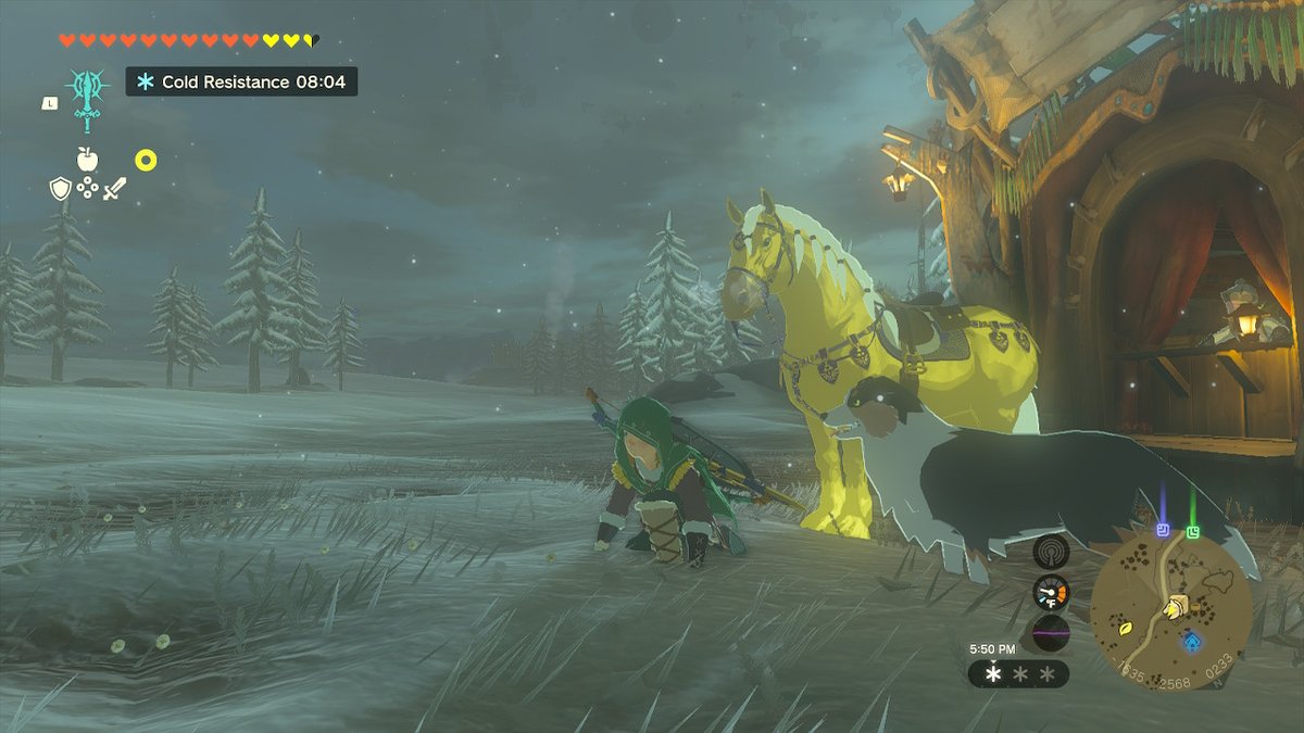 MoCojoDough's tweet photo. #TearsOfTheKingdom #Zelda #NintendoSwitch https://t.co/k2gjopjS9c