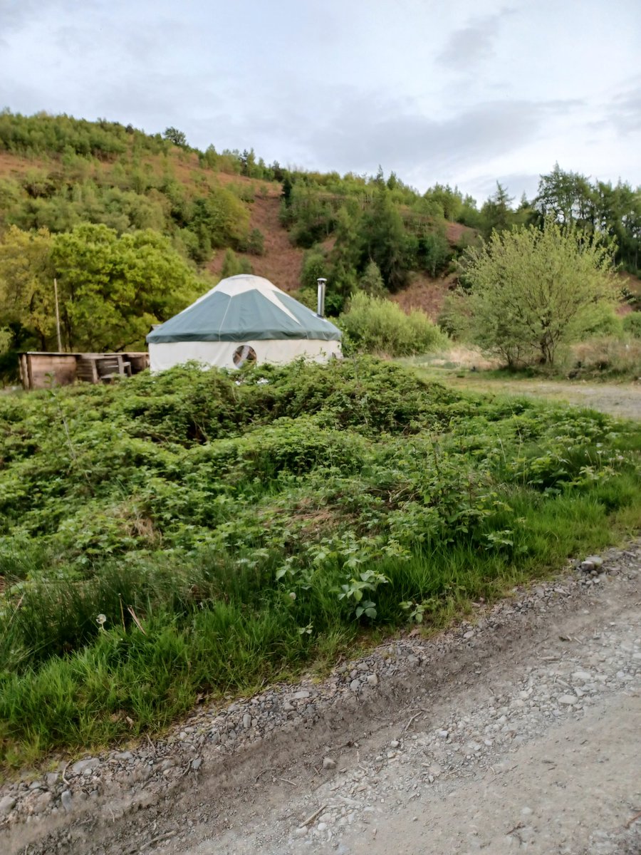 cledanvalley's tweet photo. Red Kite yurt up for season 2023! https://t.co/BYWyk8f23w