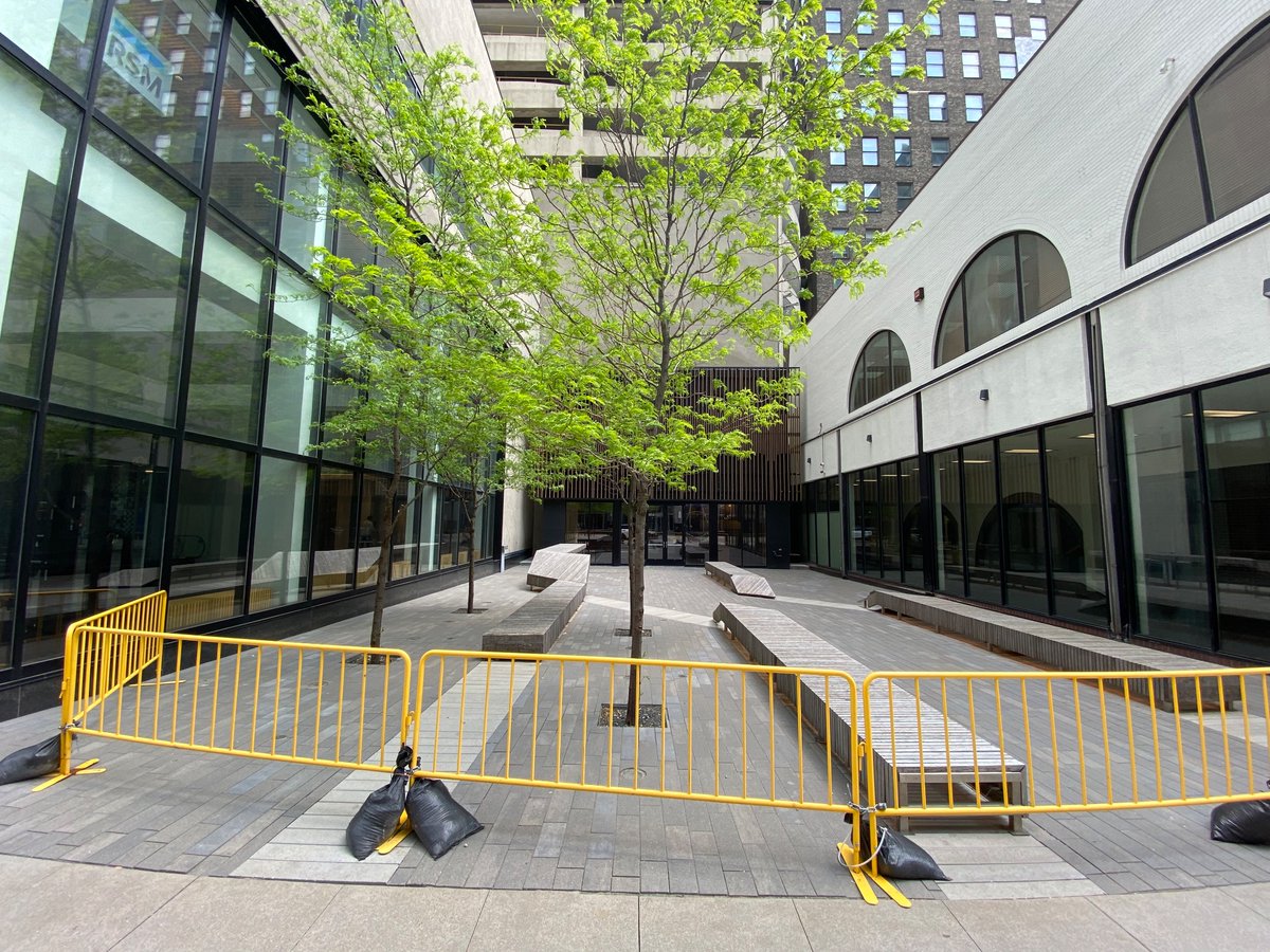 Nicollet Mall is so cheerful, and is bursting with springtime color and energy. #concretestreet