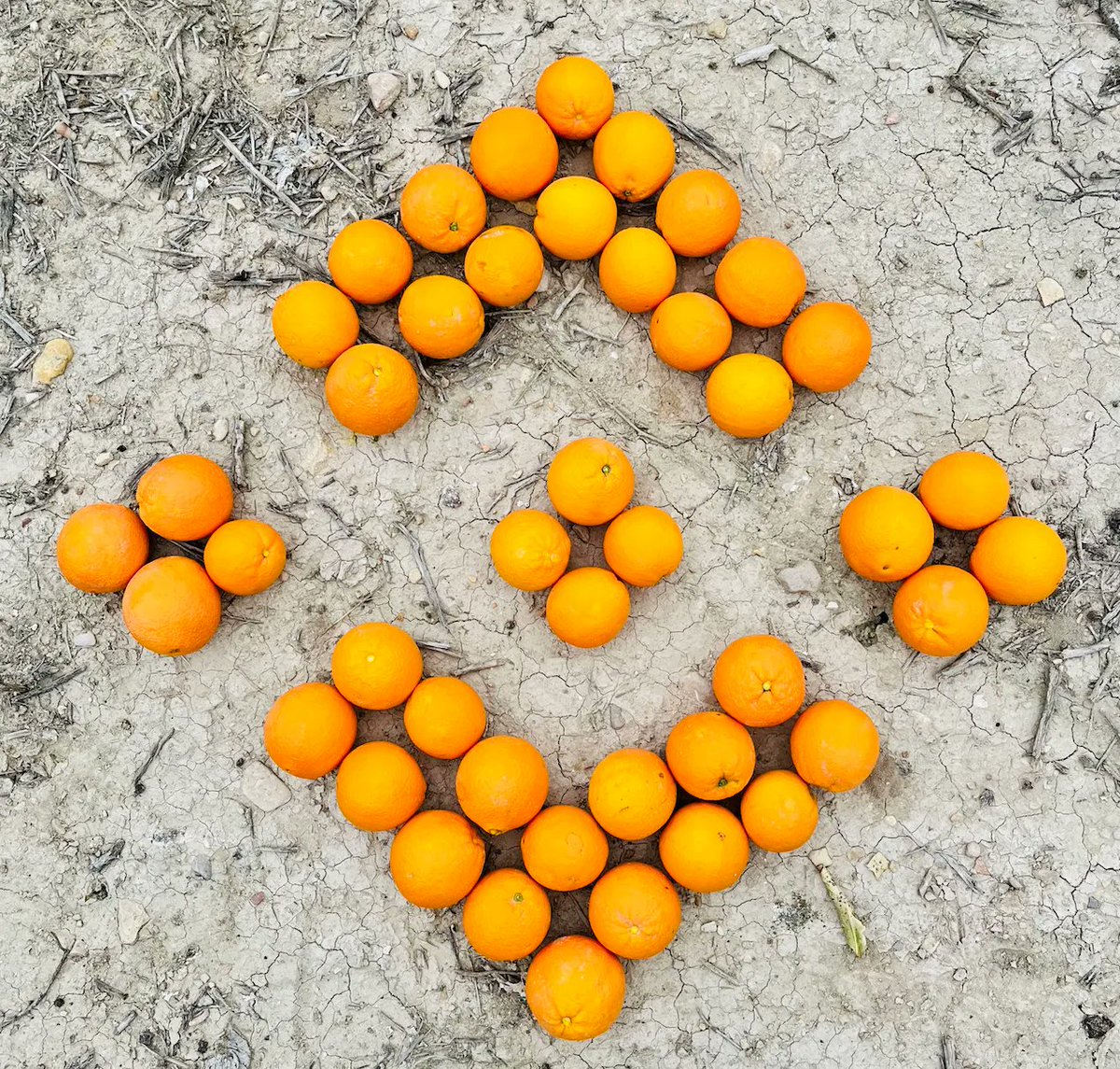 Taste: 10/10
Presentation: 100/10

📸 <a href="/JesuslVivas/">Jesus</a>