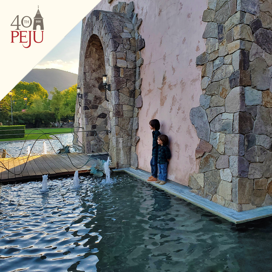 Peju Winery tweet media