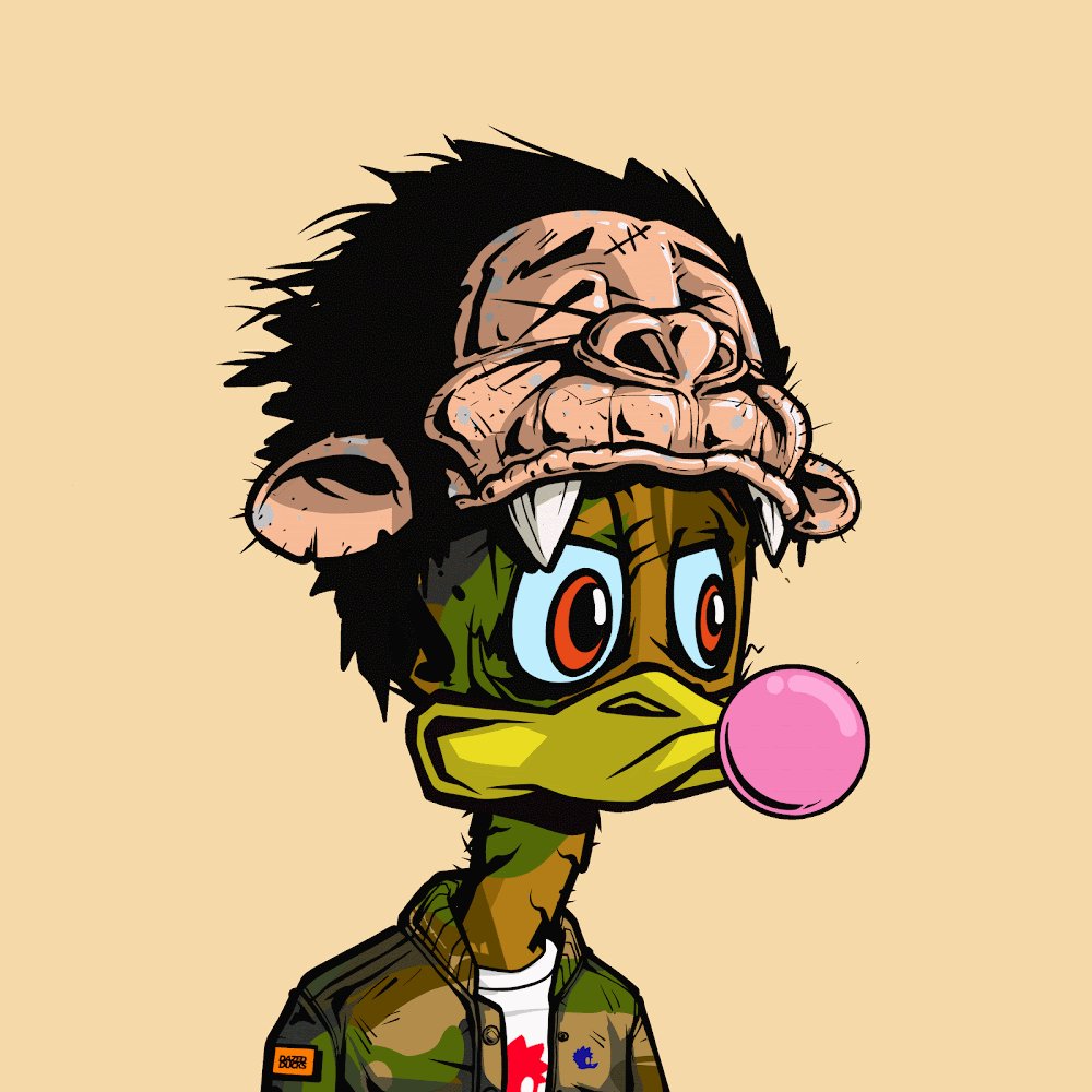 Brad | DDMC tweet media